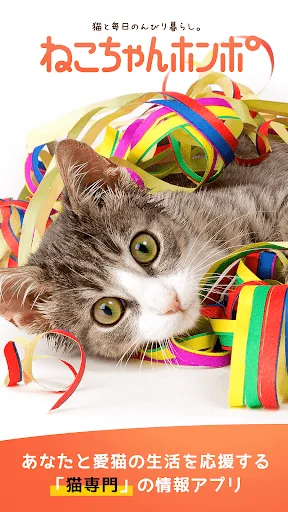 猫のニュースや飼い方の情報をまとめ読み -ねこちゃんホンポ-