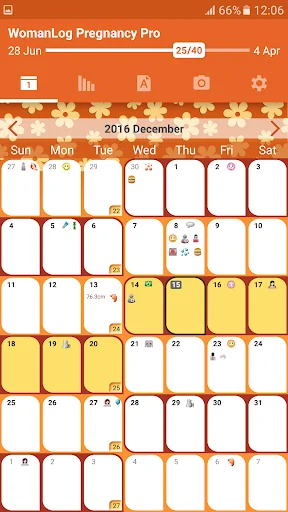 WomanLog Pregnancy Pro