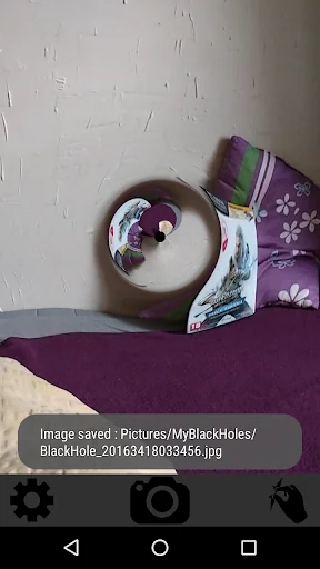 Black Hole Camera