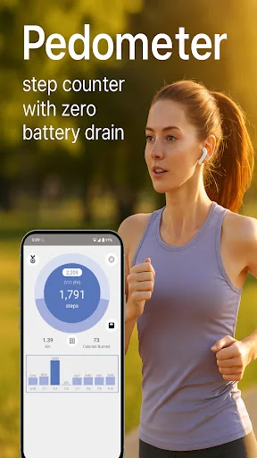 Pedometer, step counter
