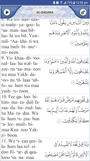 Quran Explorer