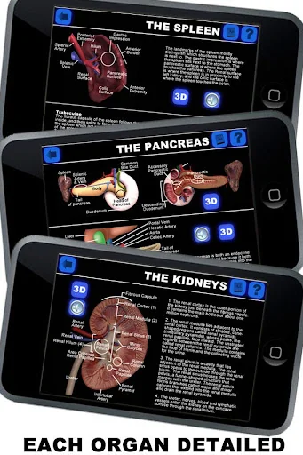 Anatomy 3D: Organs