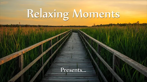 Relaxing Fireplaces Pro
