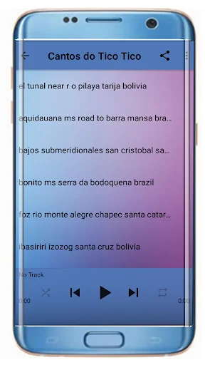 Cantos do Tico Tico Fêmea