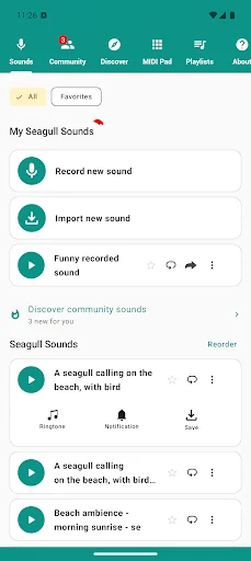 Seagull Sounds