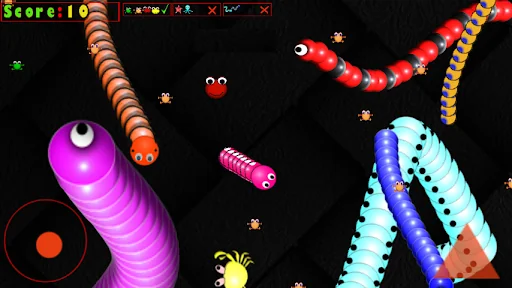 Ular Pemangsa-Zona Worm-Snake