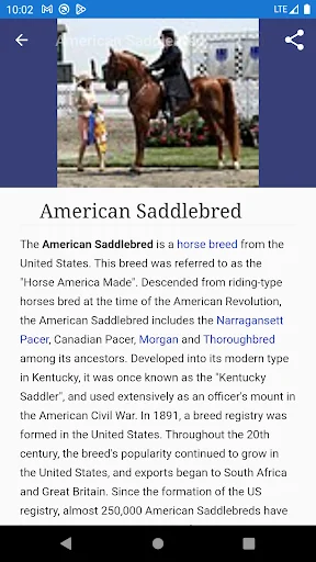Horse breeds - Photos