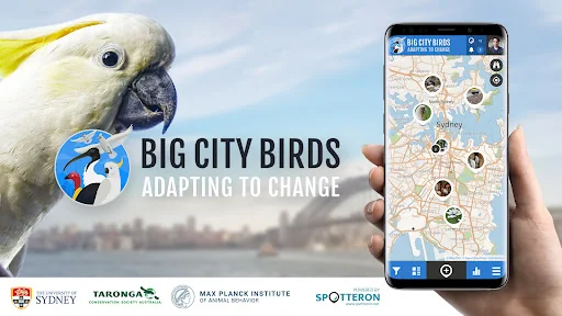 Big City Birds | SPOTTERON