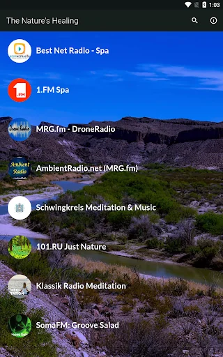 The Nature's Healing - Radio
