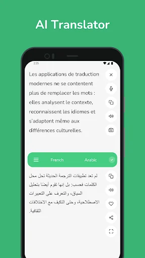 French - Arabic Translator