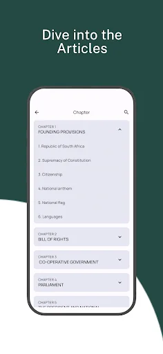 Constitution of South Africa