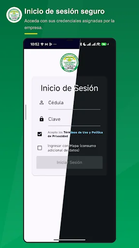 Conductor Palmeras