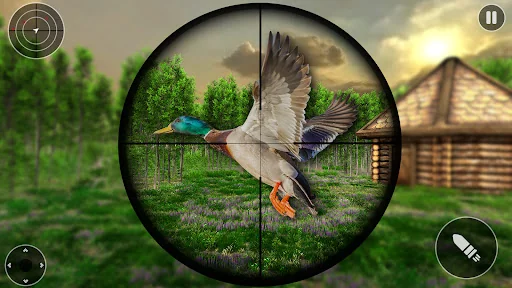 Island Birds Sniper Shooter