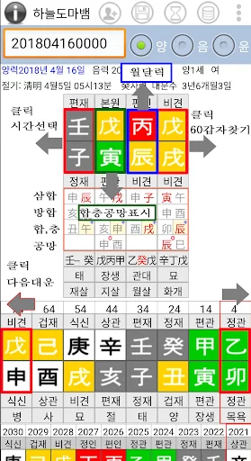 만세력 하늘도마뱀