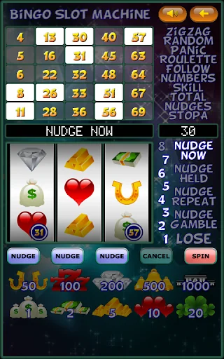 Bingo Slot Machine.