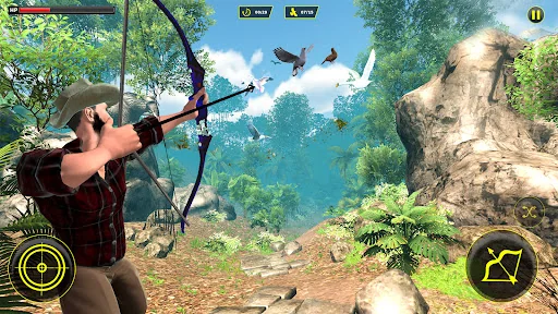 Archery Bird Hunting Games 3D
