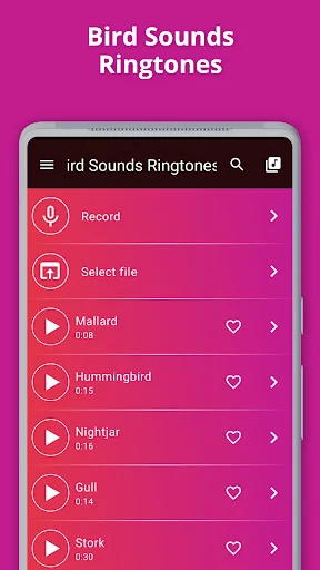 Bird Sounds Ringtones