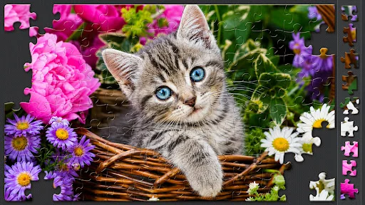 Jigsaw Puzzles for Adults