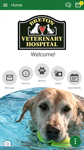 Breton Vet