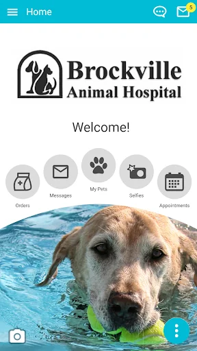 Brockville Vet