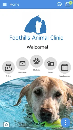 Foothills Vet NC