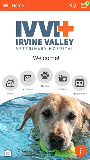 IrvineValleyVet