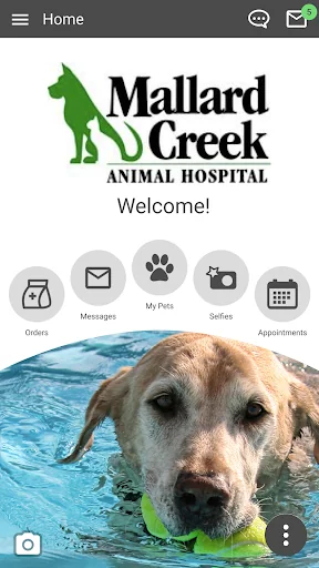 Mallard Creek Animal Hospital