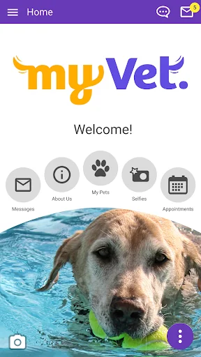 My Vet AH