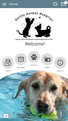 V.A.H. Vet