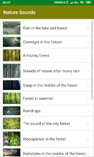 Nature Sounds for Relax