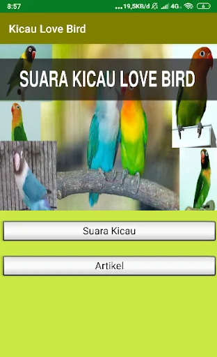 Suara Kicau Love Bird Juara