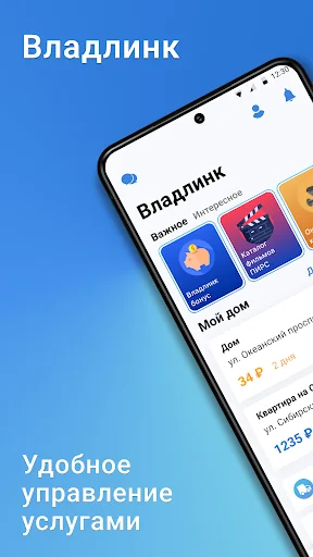 Владлинк - Личный кабинет