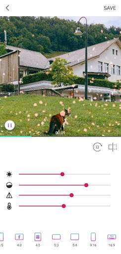 Video Adjuest - Video brightne