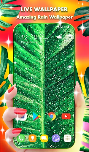 Tropical Rain Wallpaper Theme