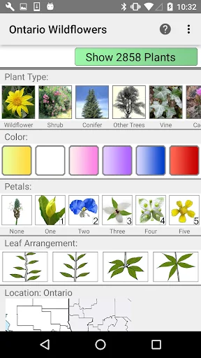 Ontario Wildflowers