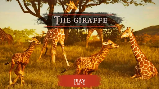 The Giraffe
