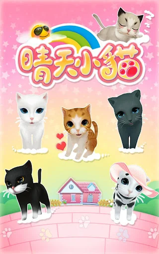 晴天小貓