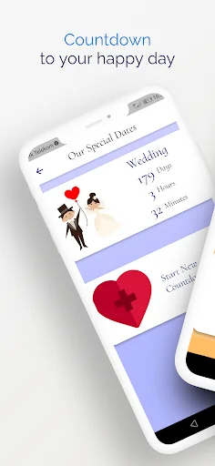 Zoogi Wedding Agenda , Counter