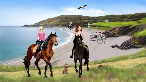 Horse and rider dressing fun