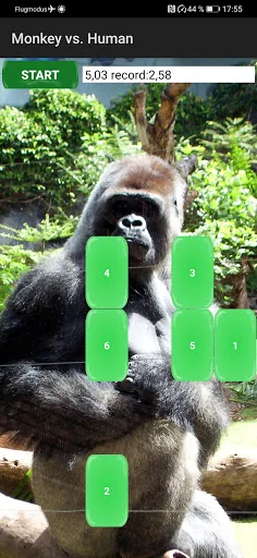 Monkey vs. Human