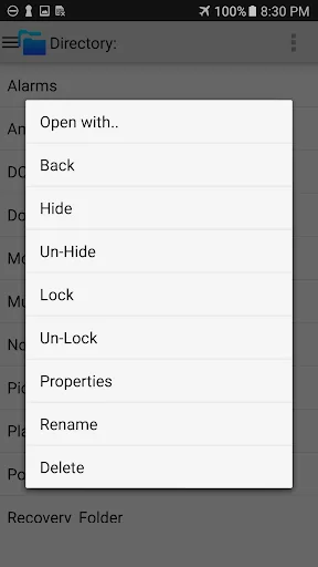 File Lock