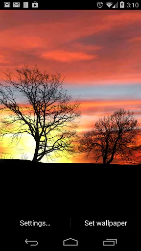 Silhouette Live Wallpaper