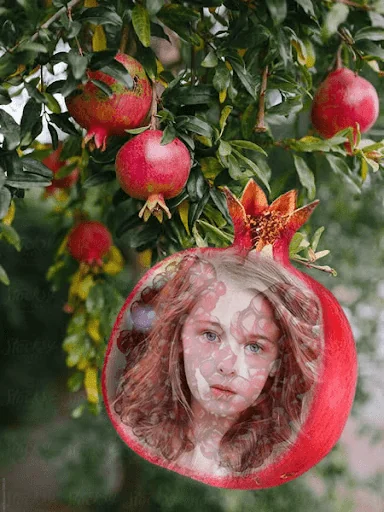 Fruit Photo Frames