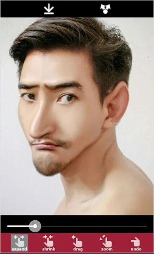 Deform your photos