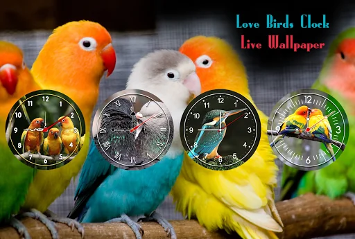 Love Birds Clock Wallpaper