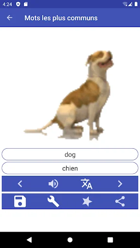 English Language Learning