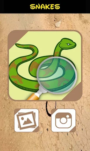 Automatic Snake Identifier