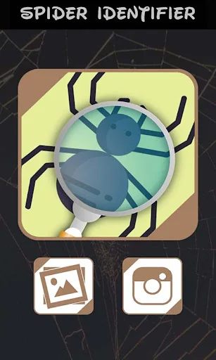 Automatic spider identifier