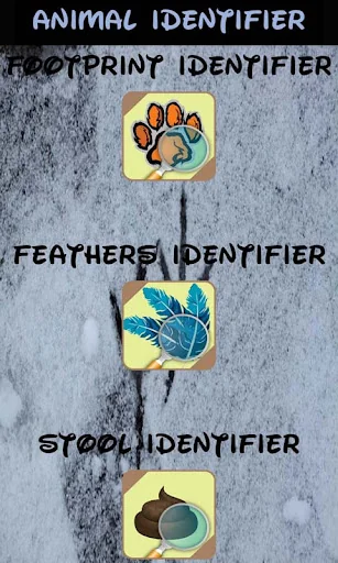 Identifier of Animal Traces