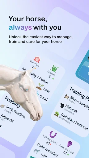 Happie Horse - Management